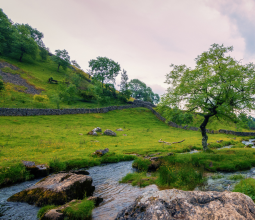 Landscaping Estimating Services